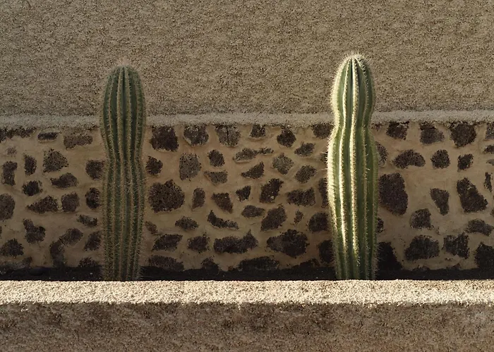 Canaryislandshost I Esencia Daire