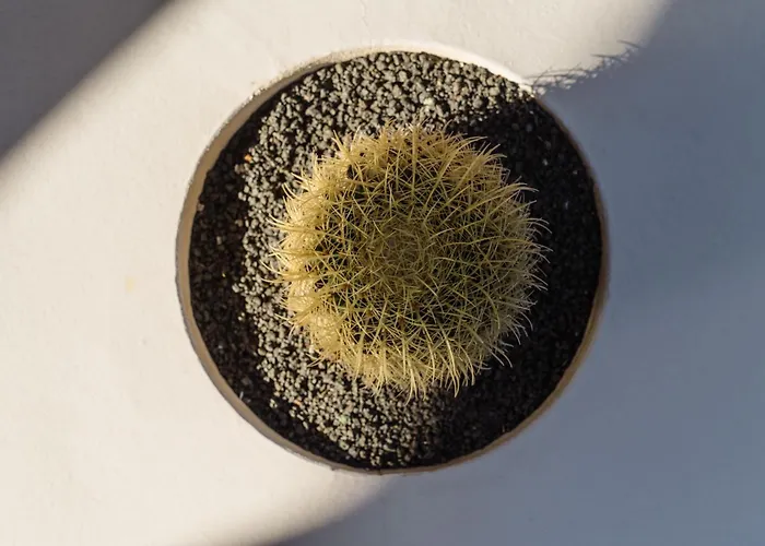 Apartament Canaryislandshost I Esencia