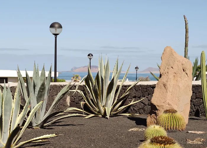 Canaryislandshost I Esencia *